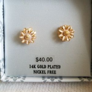 Gold plated earrings